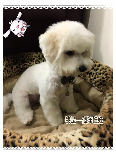 參加圖片