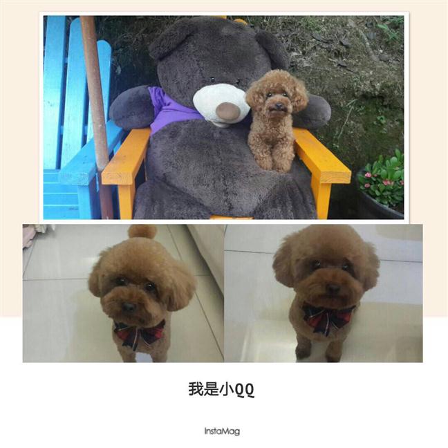參加圖片