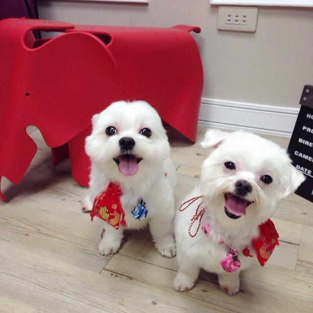 參加圖片