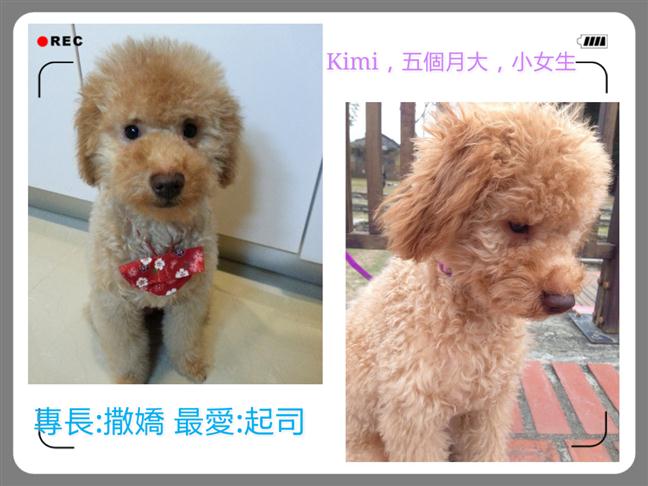 參加圖片