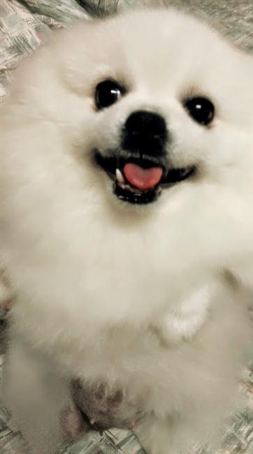 參加圖片