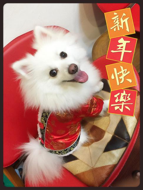 參加圖片