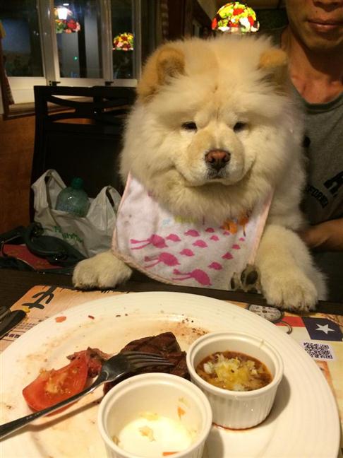 參加圖片