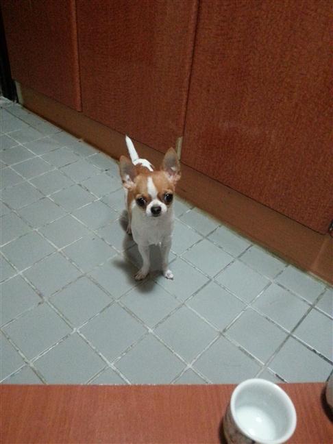 參加圖片