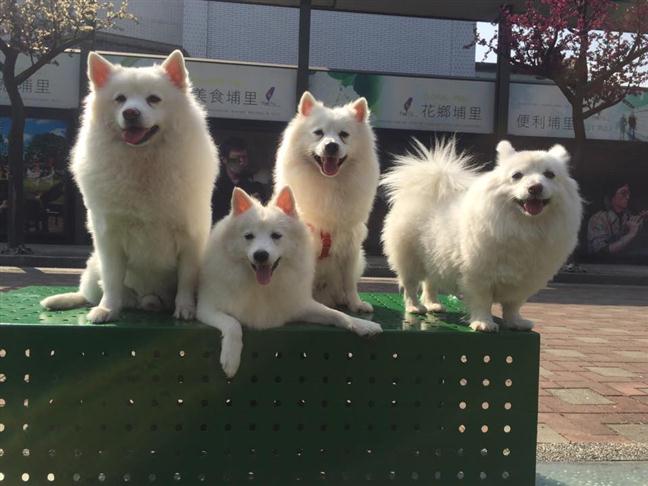 參加圖片
