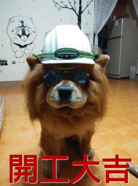 參加圖片