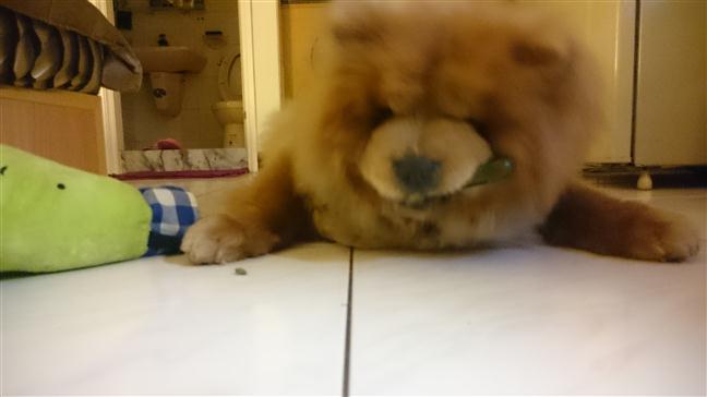 參加圖片