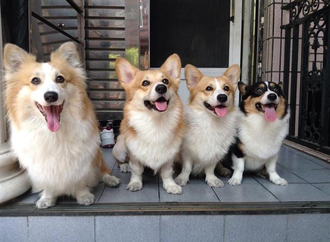 參加圖片