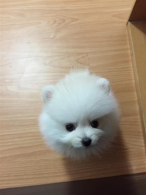 參加圖片