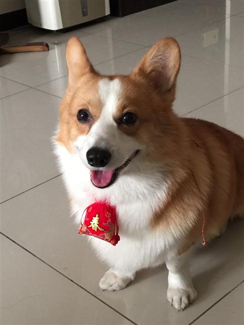 參加圖片