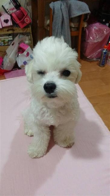 參加圖片
