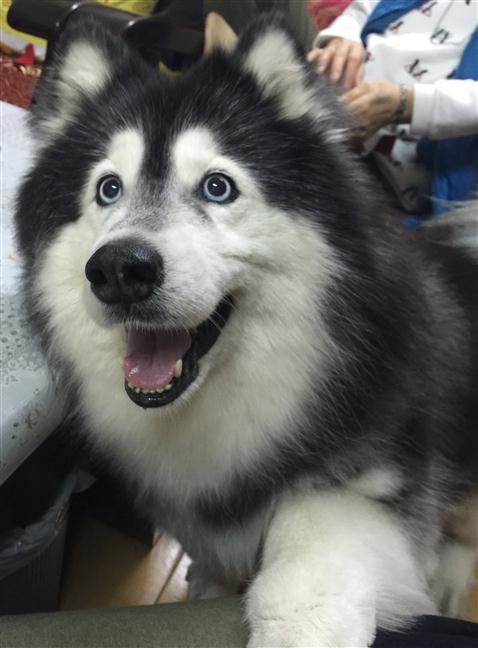 參加圖片