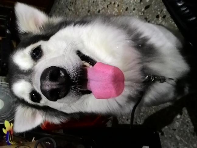參加圖片