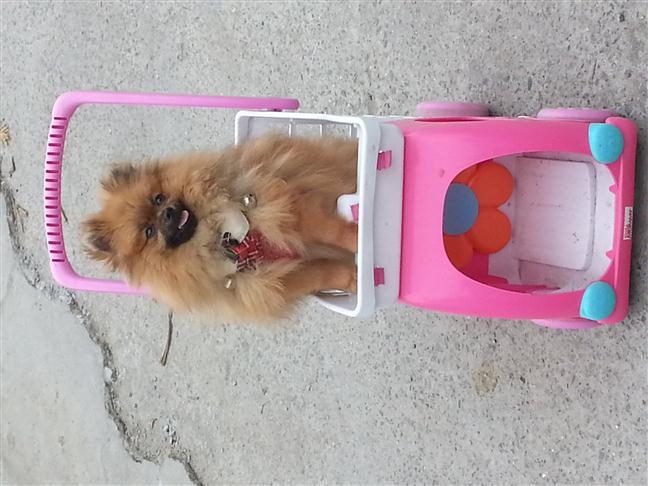 參加圖片