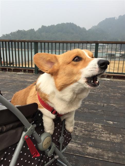 參加圖片