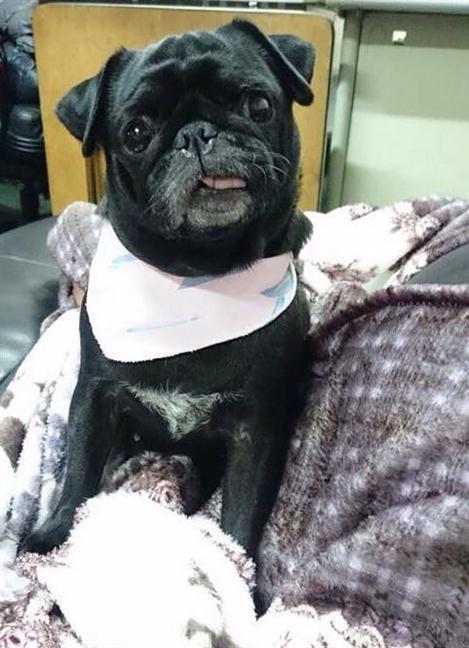 參加圖片