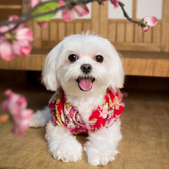 參加圖片