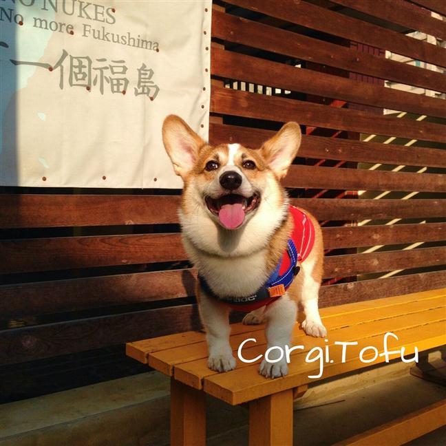 參加圖片