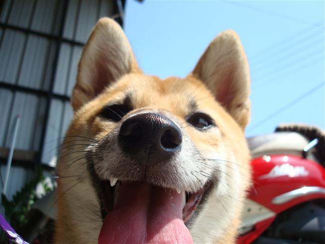 參加圖片