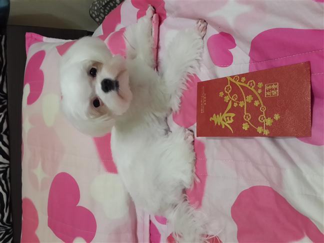 參加圖片