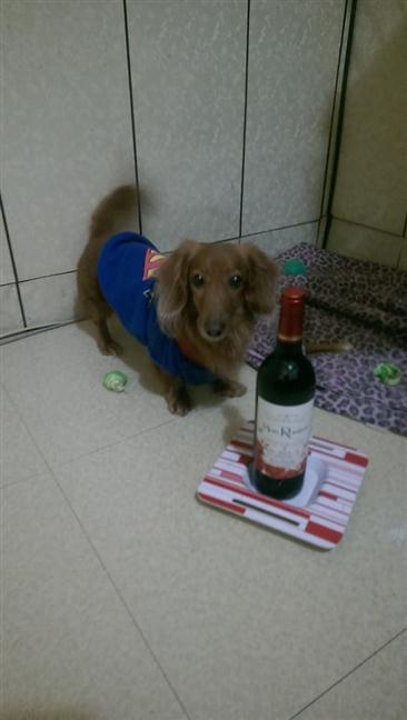參加圖片