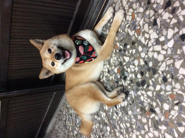 參加圖片