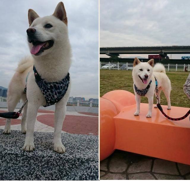 參加圖片