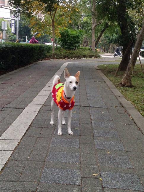 參加圖片