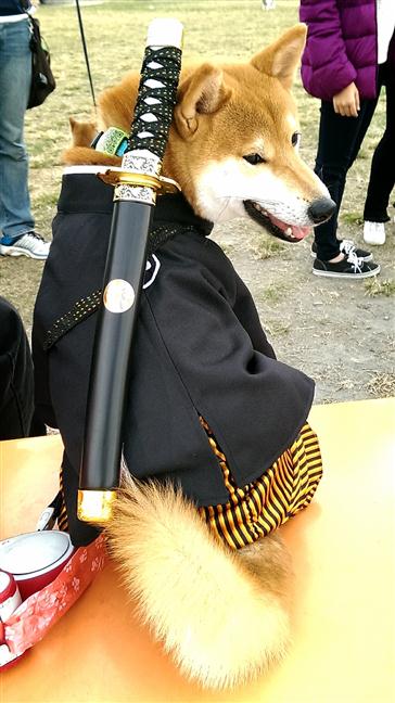 參加圖片
