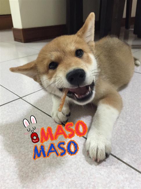 參加圖片