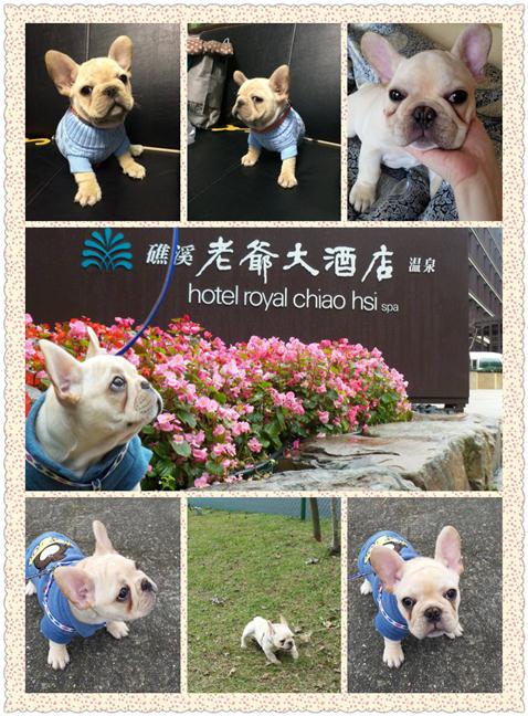 參加圖片