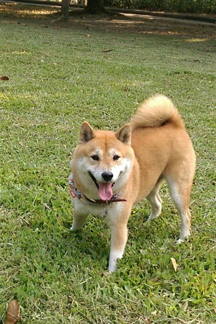 參加圖片