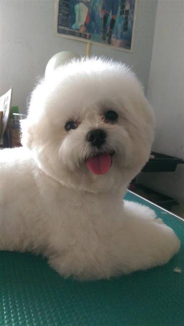 參加圖片