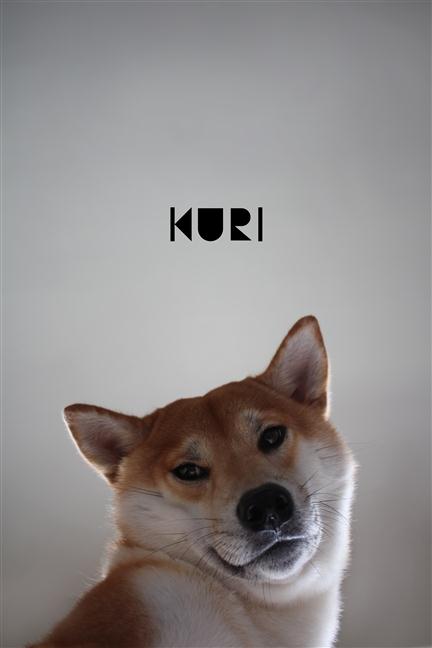 參加圖片