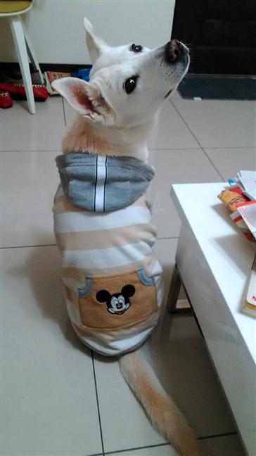 參加圖片