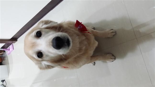 參加圖片