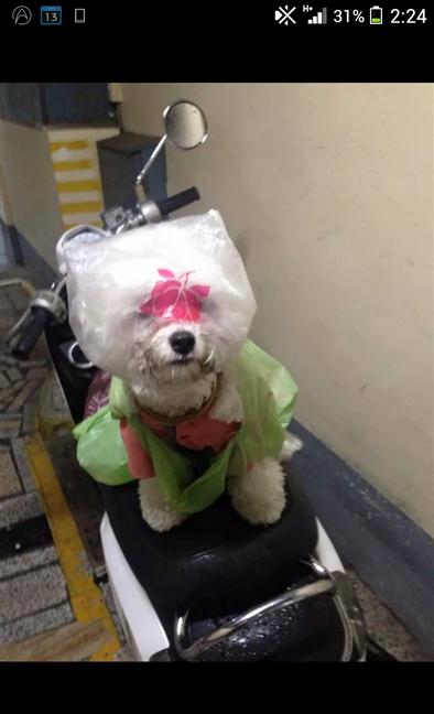 參加圖片