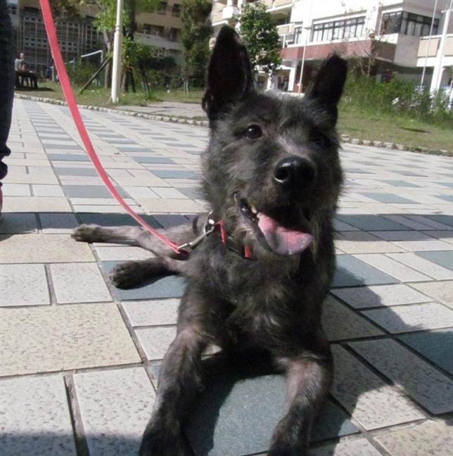 參加圖片