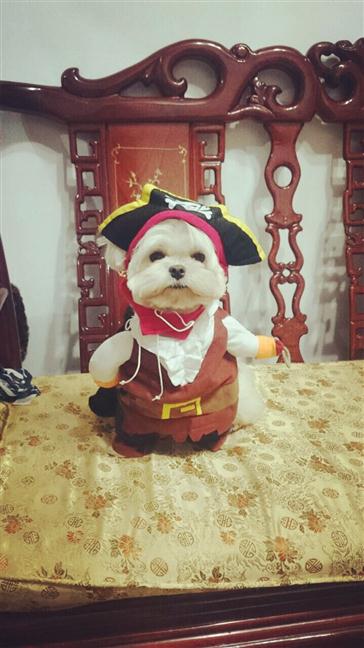 參加圖片