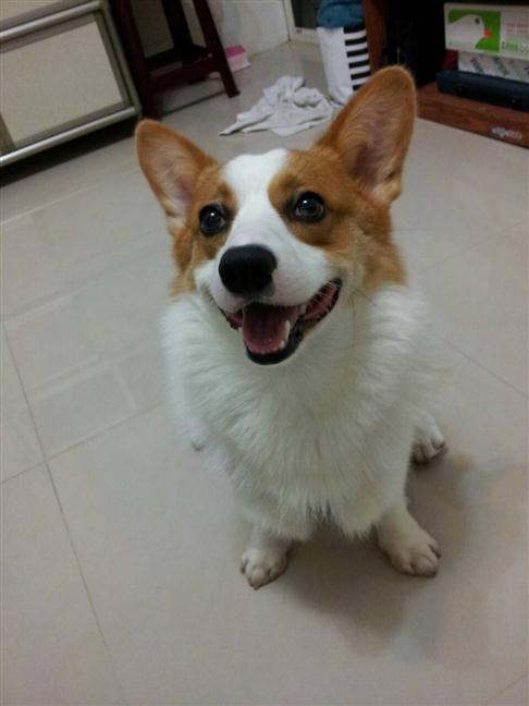 參加圖片