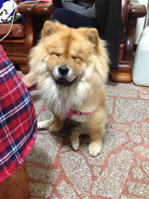 參加圖片
