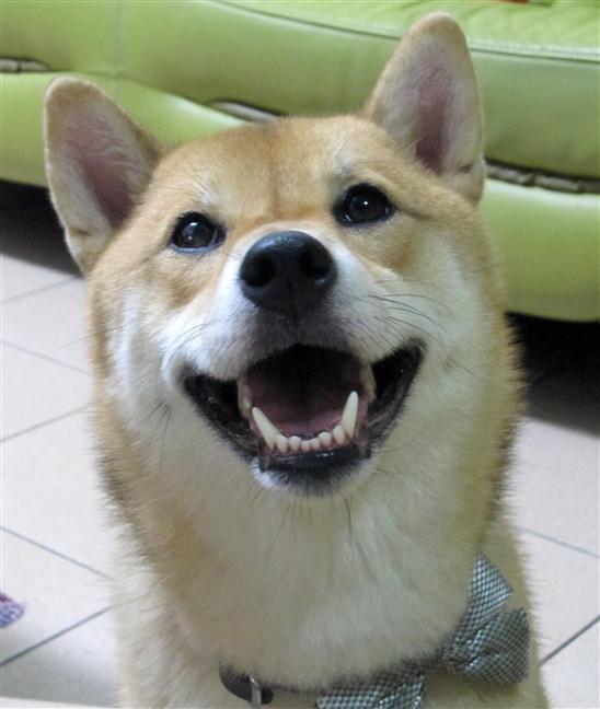 參加圖片