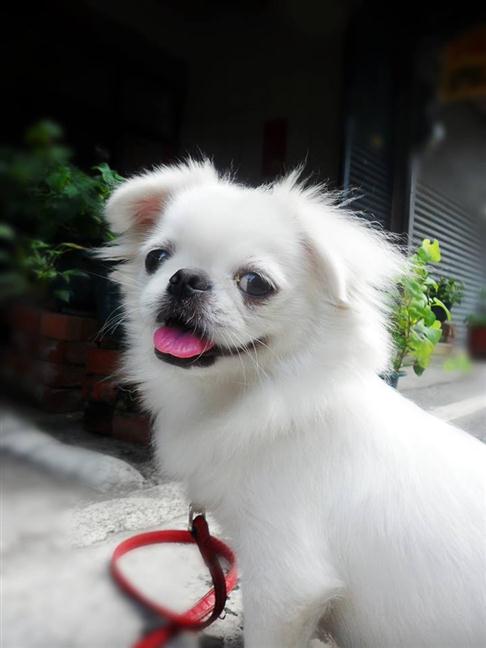 參加圖片