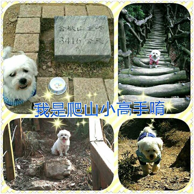 參加圖片