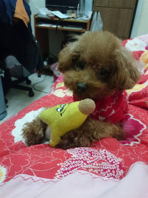 參加圖片