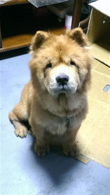 參加圖片