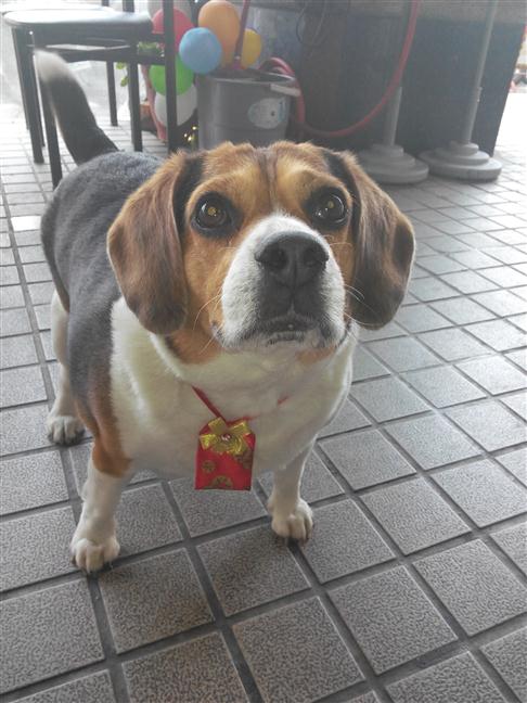 參加圖片