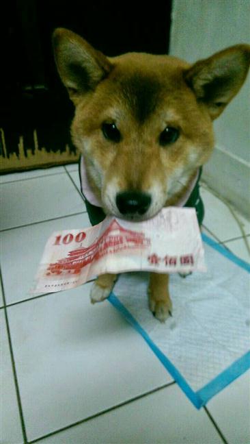 參加圖片