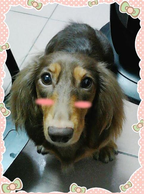 參加圖片