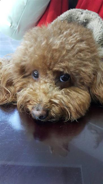 參加圖片